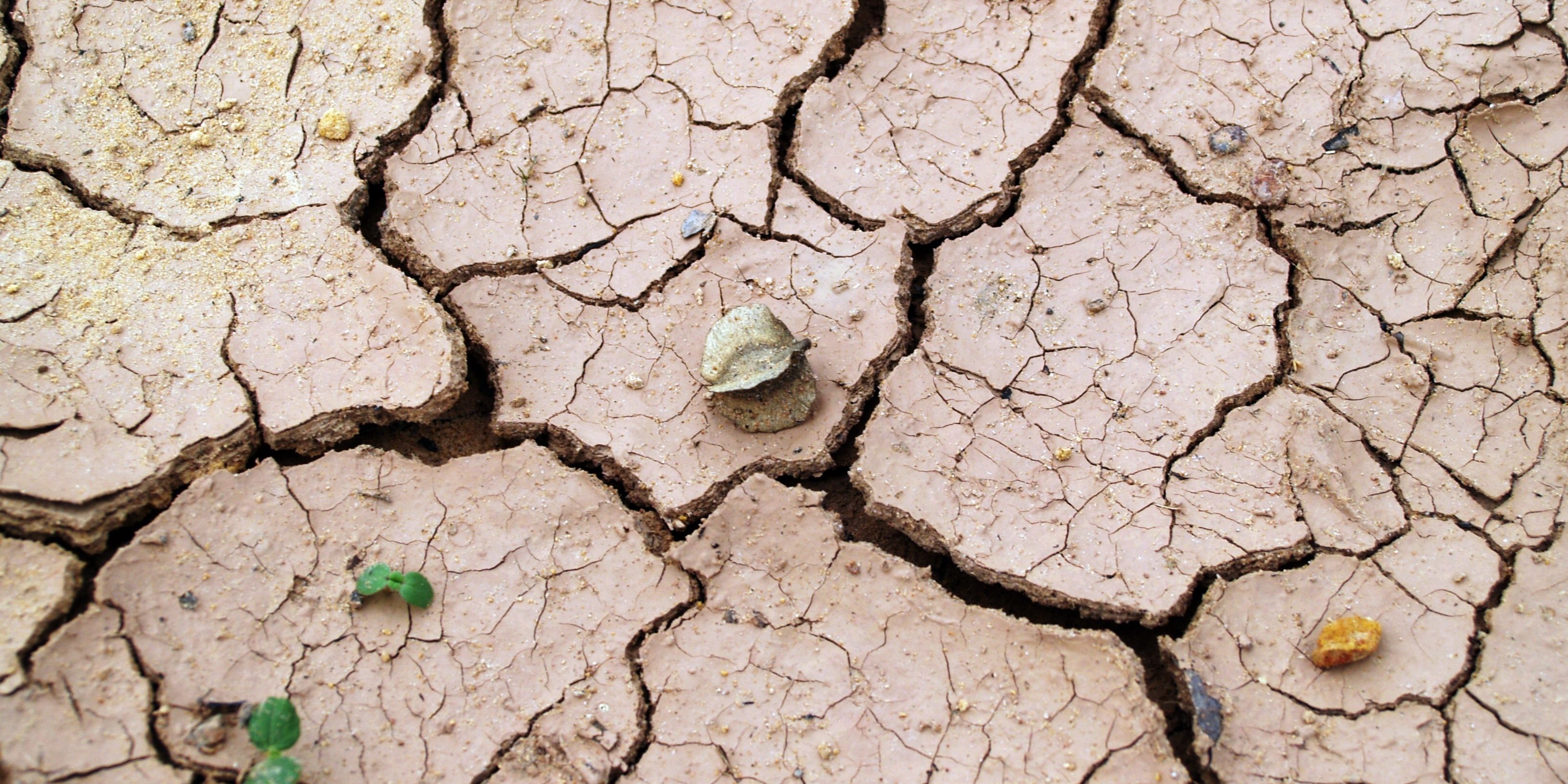 arid-barren-clay-216692